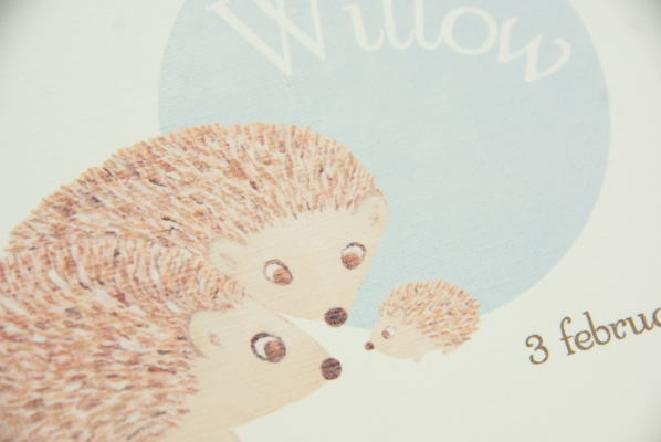 geboortekaartje willow lichtblauw